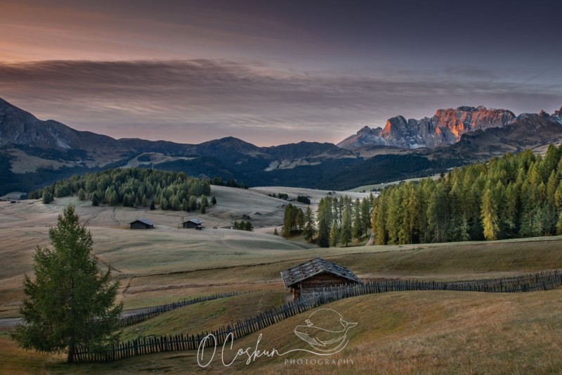 sctl0306-avec-accentuation-bruit