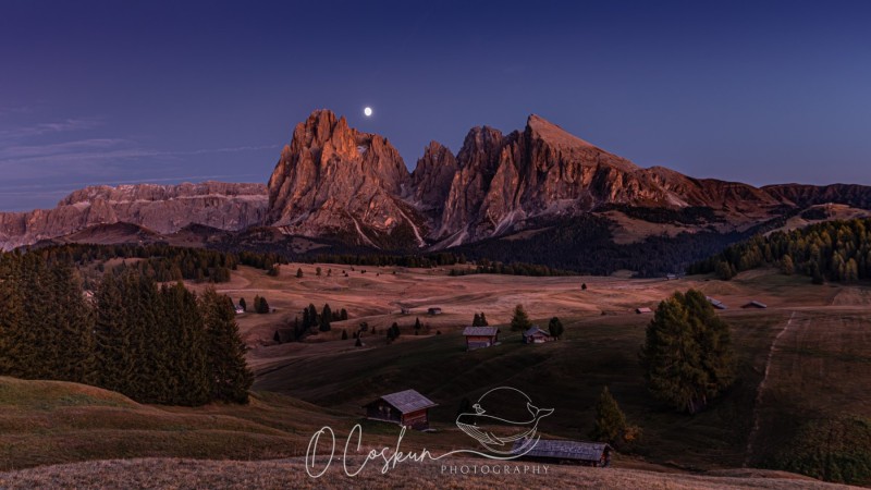 sctl0647-avec-accentuation-bruit-1