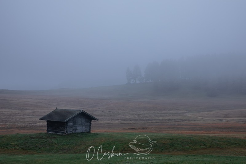 sctl0106-avec-accentuation-bruit