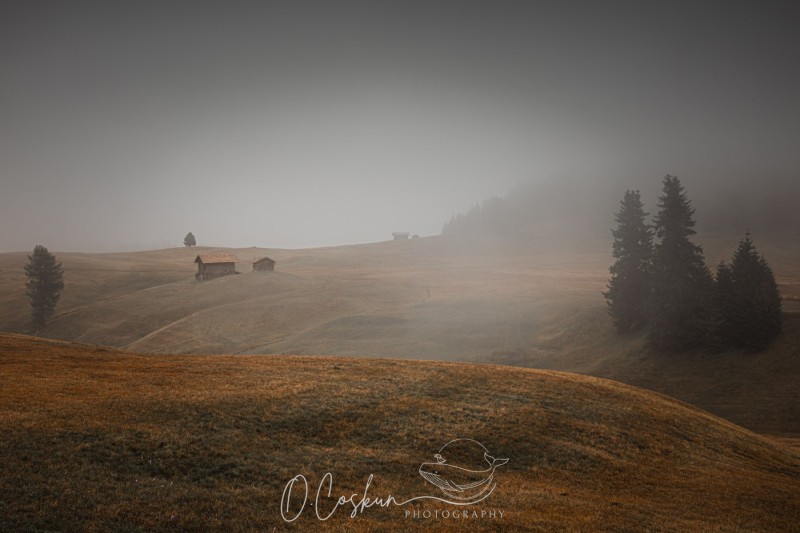 sctl0211-avec-accentuation-bruit