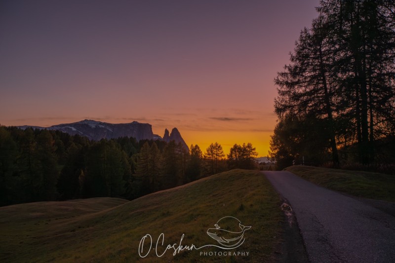 sctl9754-avec-accentuation-bruit