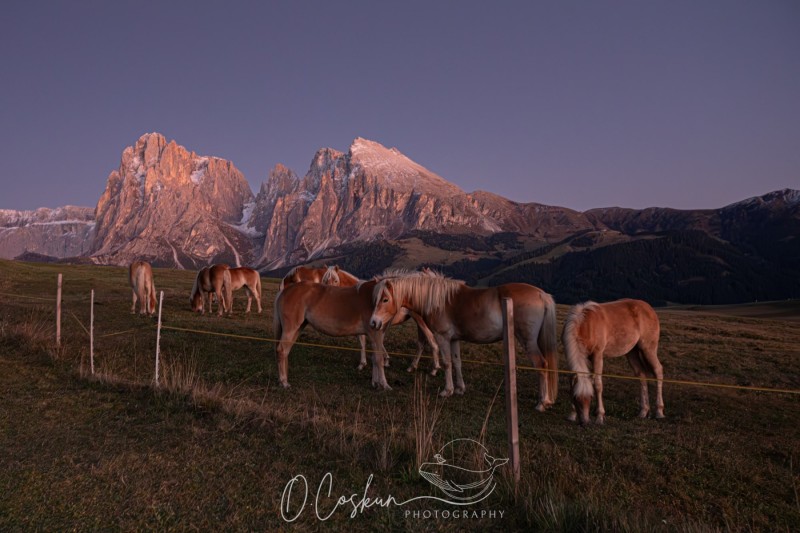 sctl9757-avec-accentuation-bruit