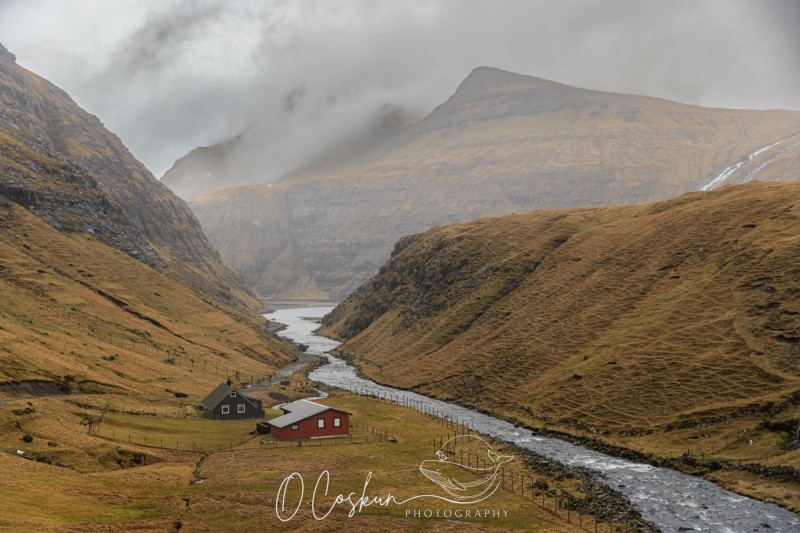 faro1401-avec-accentuation-bruit-scaled