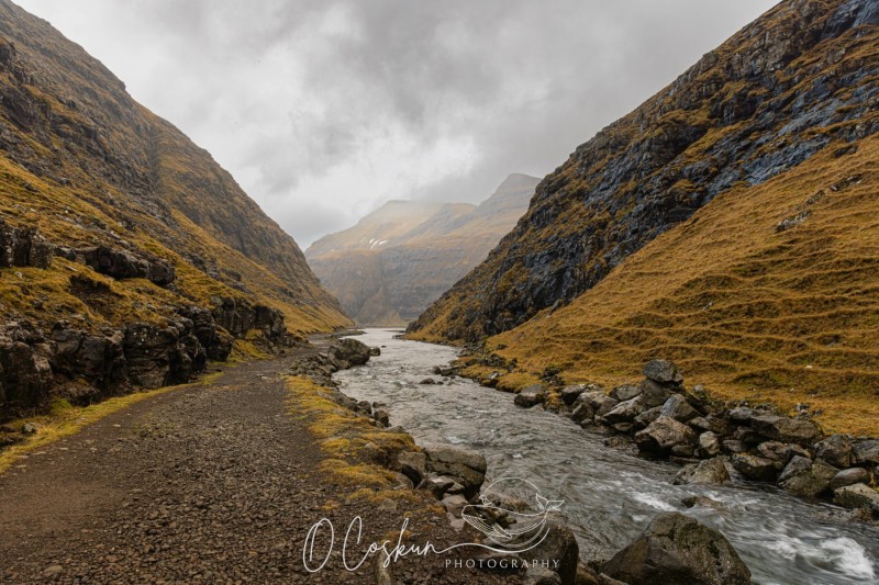 faro1407-avec-accentuation-bruit-scaled