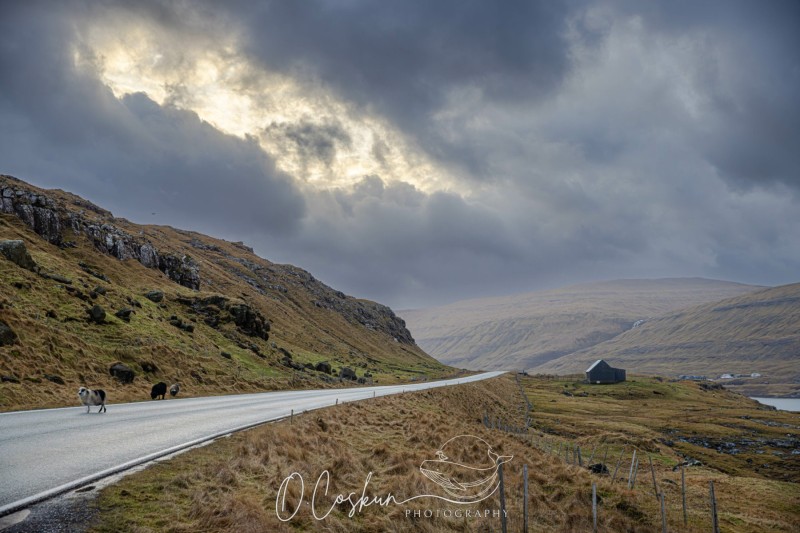 faro1525-avec-accentuation-bruit-scaled