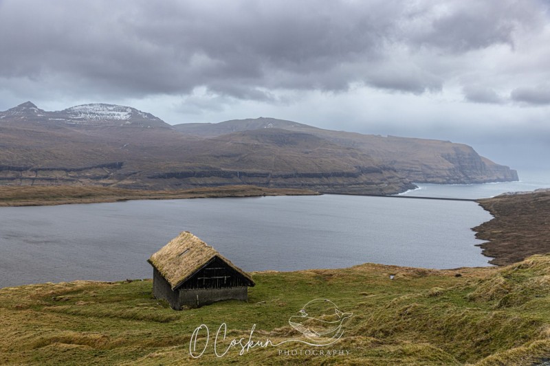 faro1639-avec-accentuation-bruit-scaled