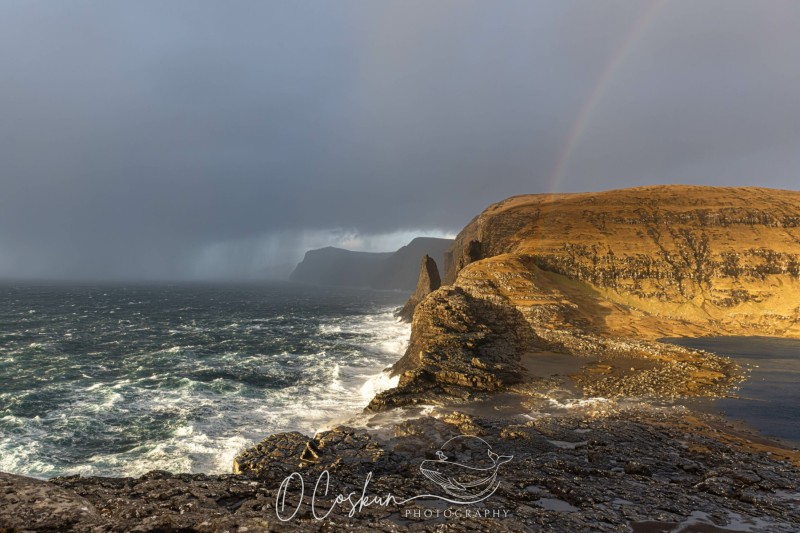 faro1819-avec-accentuation-bruit-scaled