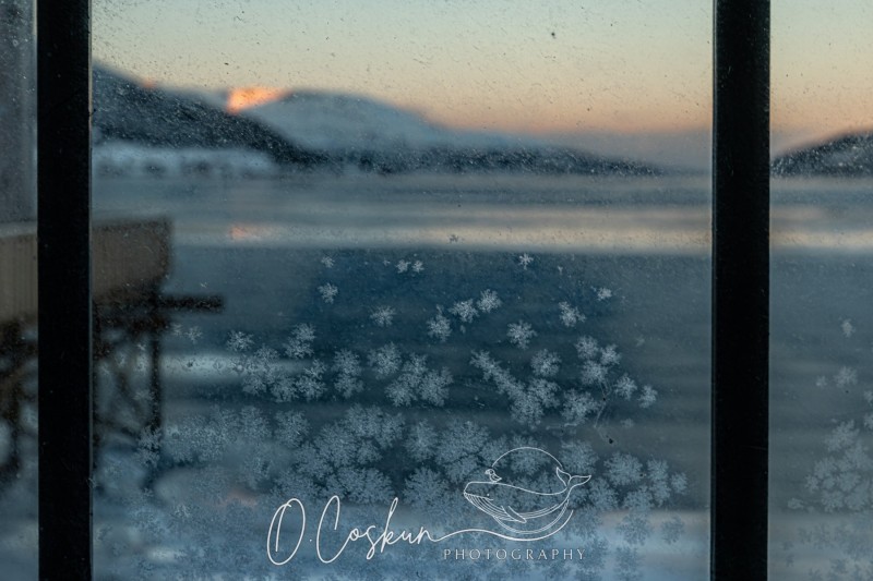 SNJ_0613-Avec-accentuation-Bruit