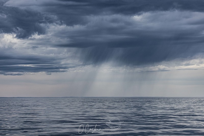 faro3280-3-avec-accentuation-bruit-scaled