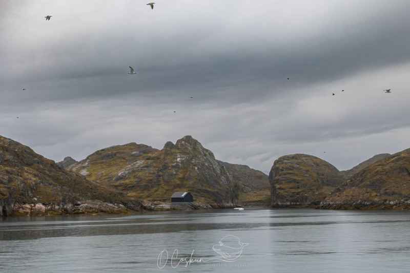 faro3986-modifier-scaled