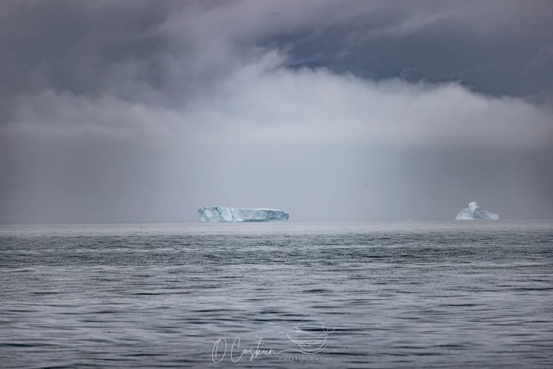 faro4060-modifier-scaled