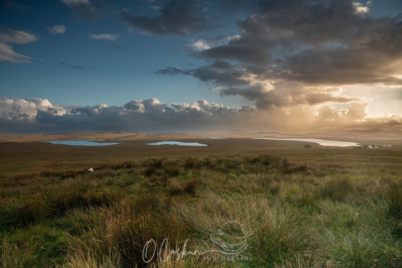 hebr6466-sb