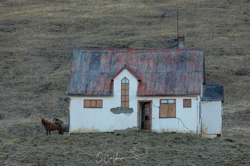 1_isld8716-avec-accentuation-bruit-scaled