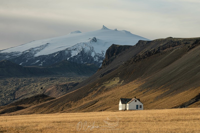 isld8415-avec-accentuation-bruit-scaled