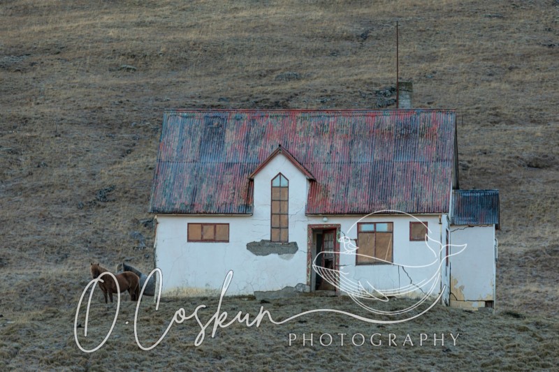 isld8716-avec-accentuation-bruit-scaled