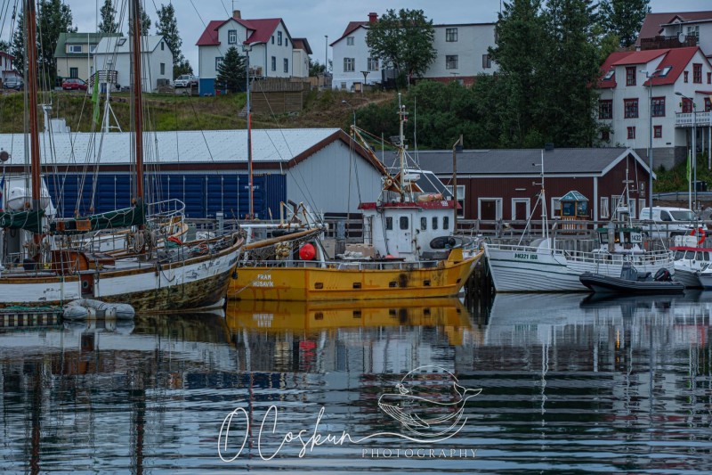 islnd0290-sb