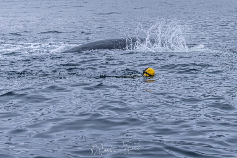 faro5731-modifier-scaled