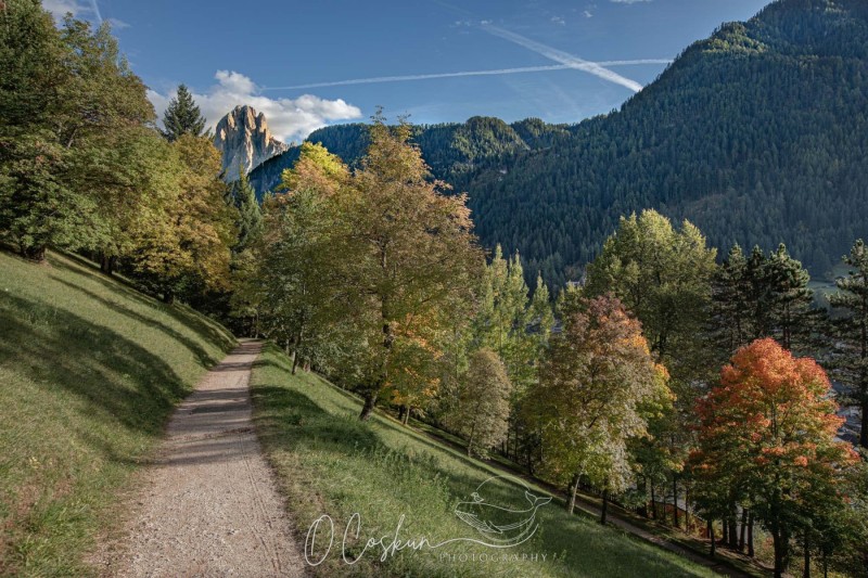 sctl0548-avec-accentuation-sr