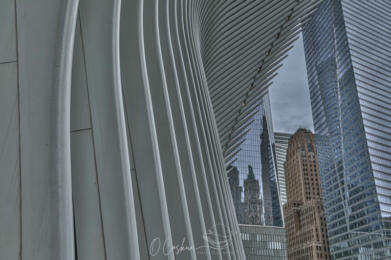 LOF_7348-Modifier-scaled