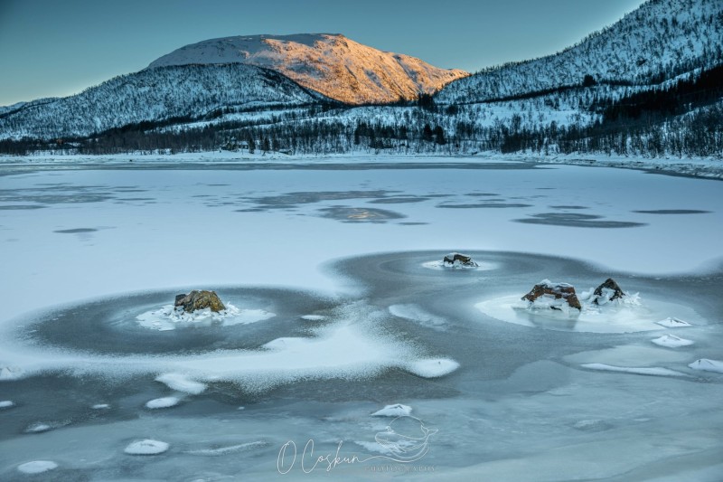 1_snj_0540-avec-accentuation-bruit-scaled