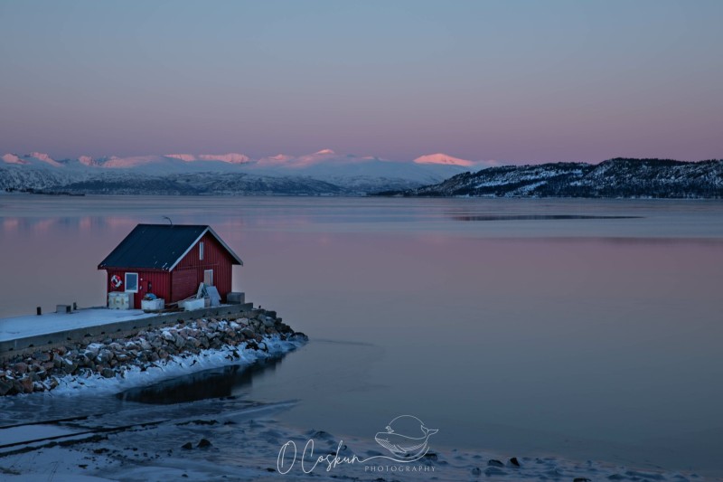 1_snj_0621-avec-accentuation-bruit-scaled