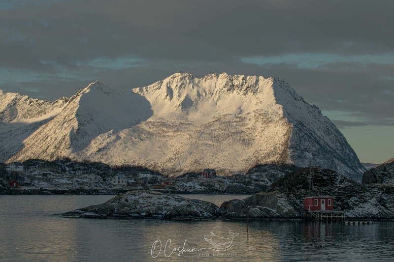 1_snj_0708-avec-accentuation-bruit-scaled