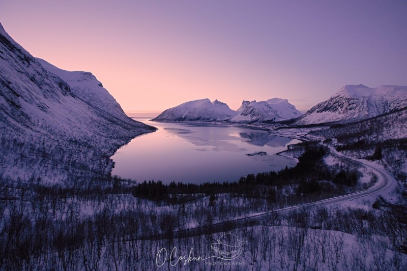 snj_0279-modifier-scaled