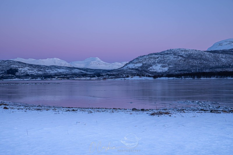 snj_0643-avec-accentuation-bruit-scaled