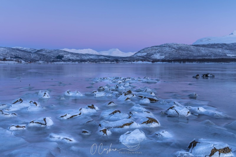 snj_0655-avec-accentuation-bruit-scaled