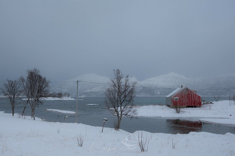 snj_0824-modifier-scaled