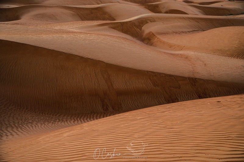 laos7121-avec-accentuation-bruit-scaled