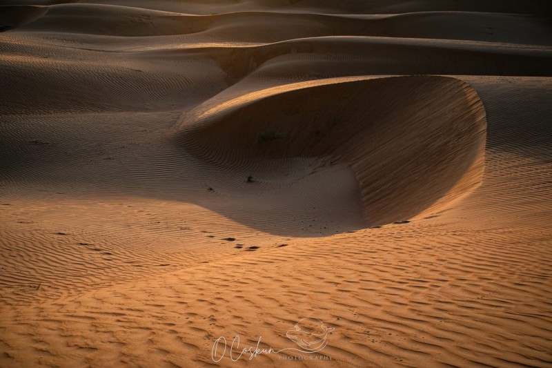 laos7128-avec-accentuation-bruit-scaled