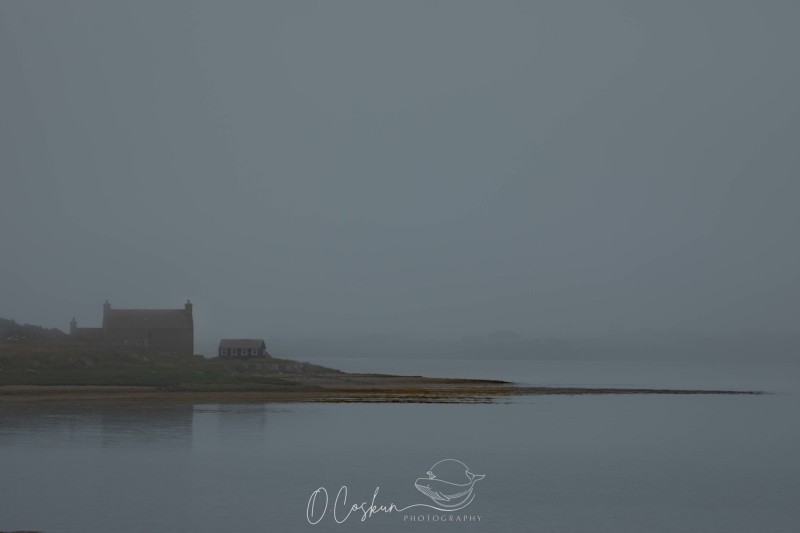 sctl2668-avec-accentuation-bruit-scaled