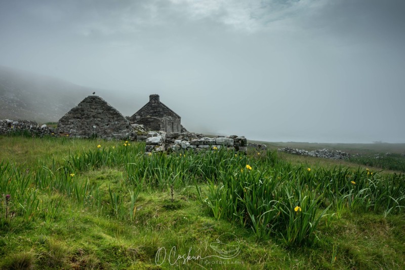 sctl3129-avec-accentuation-bruit-scaled