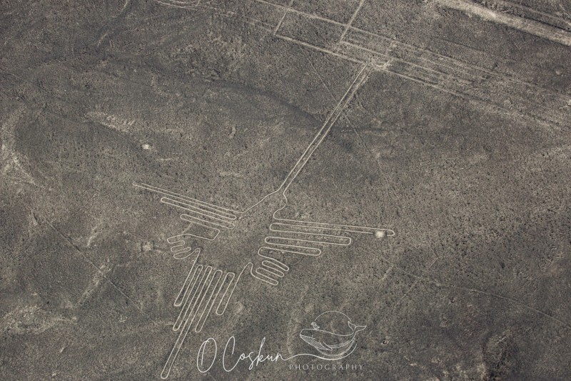 1q0a1662-avec-accentuation-bruit-scaled