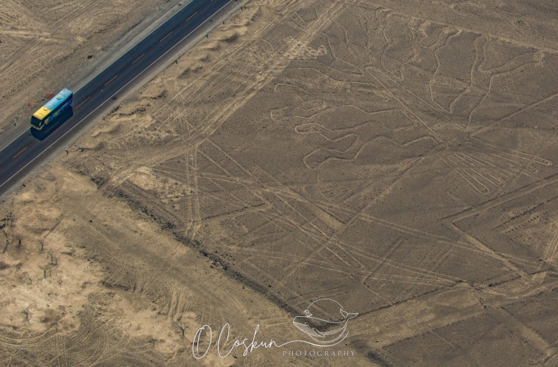 1q0a1678-avec-accentuation-bruit-scaled