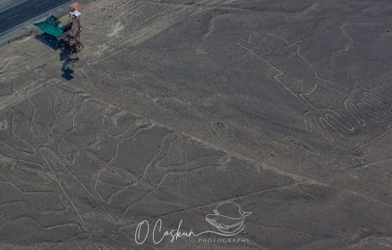 1q0a1679-avec-accentuation-bruit-scaled