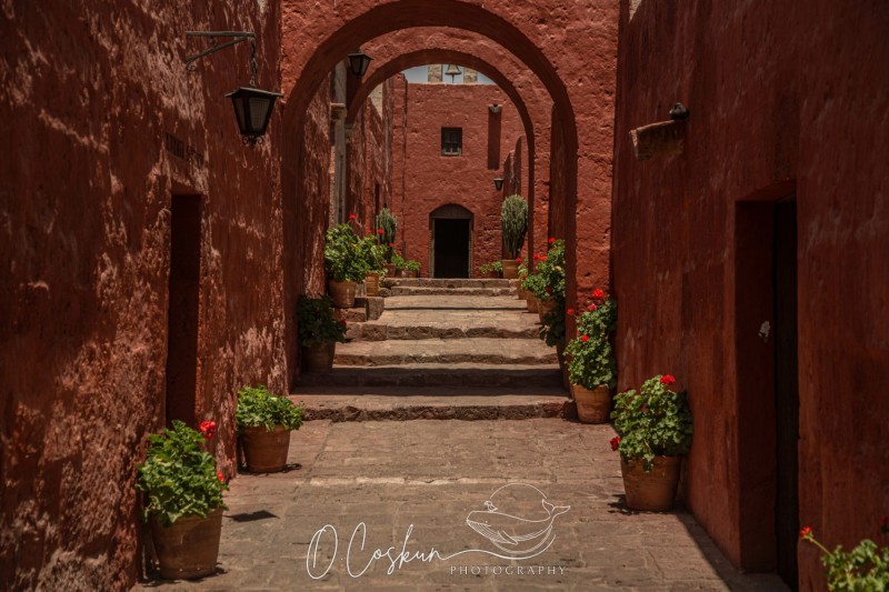 1q0a1749-avec-accentuation-bruit-scaled