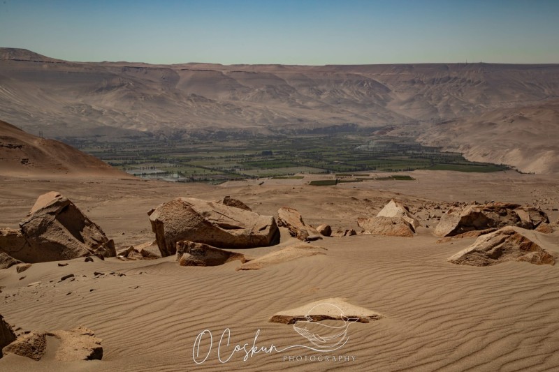 1q0a1816-avec-accentuation-bruit-scaled