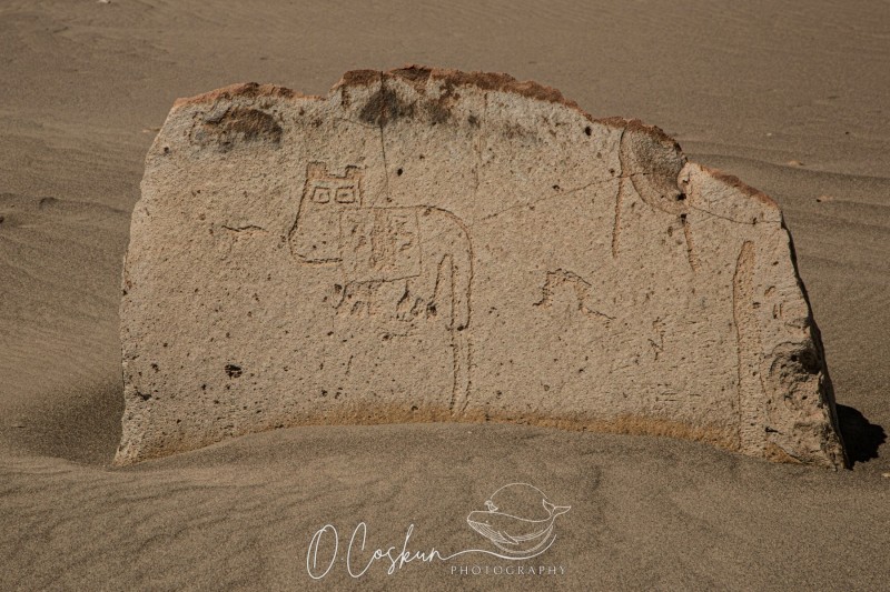 1q0a1835-avec-accentuation-bruit-scaled