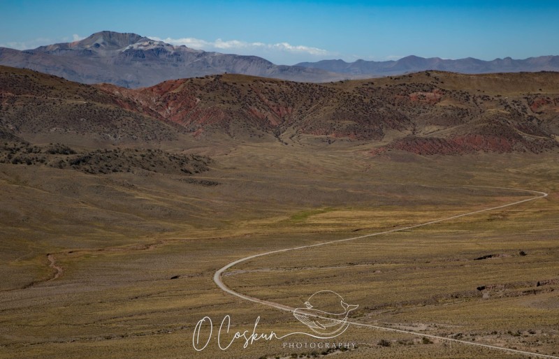 1q0a1861-avec-accentuation-bruit-scaled