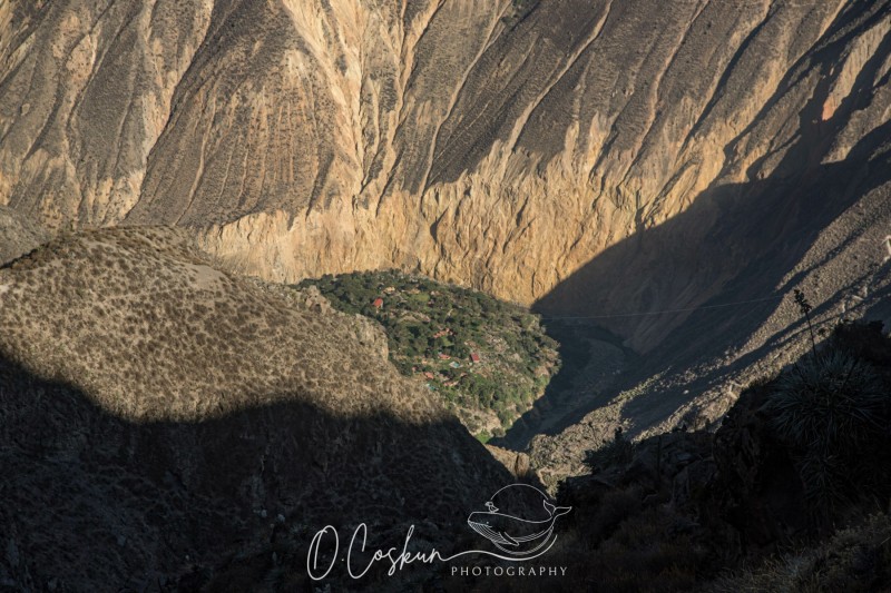 1q0a1937-avec-accentuation-bruit-scaled