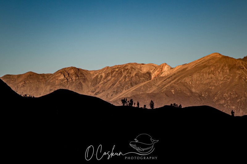 1q0a2088-avec-accentuation-bruit-scaled