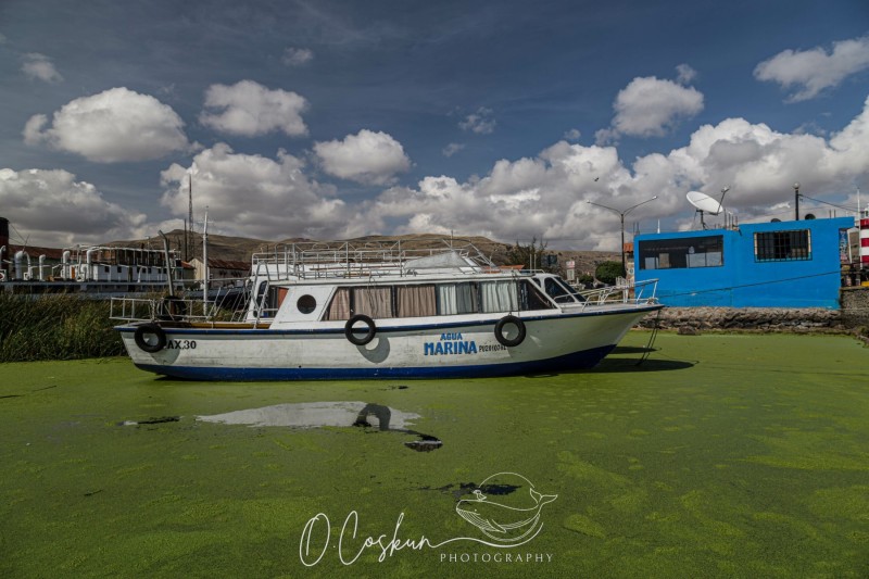 1q0a2257-avec-accentuation-bruit-scaled