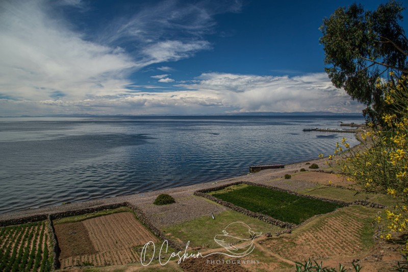 1q0a2295-avec-accentuation-bruit-scaled