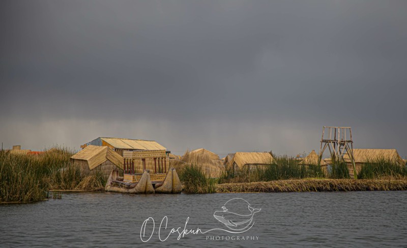 1q0a2401-avec-accentuation-bruit-scaled