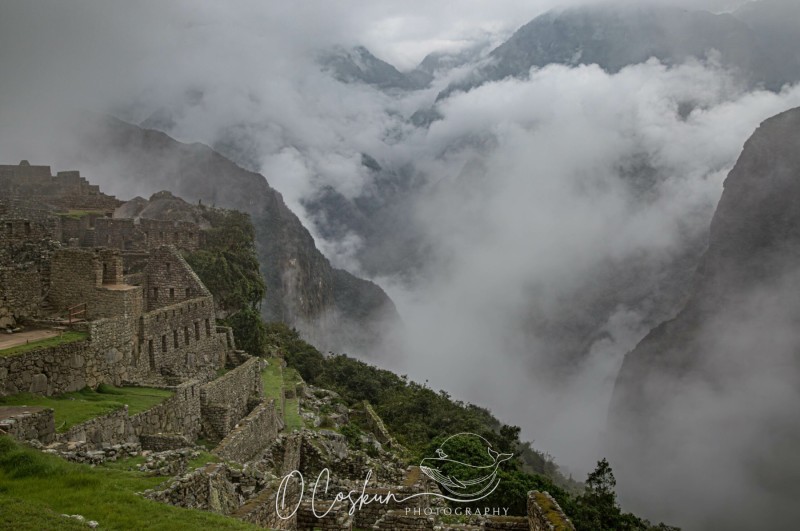 1q0a2614-avec-accentuation-bruit-scaled