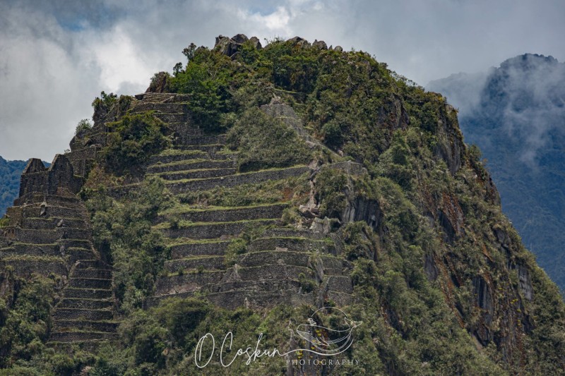 1q0a2760-avec-accentuation-bruit-scaled