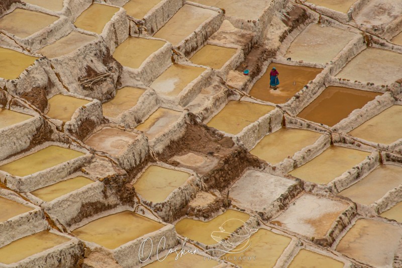 1q0a2807-avec-accentuation-bruit-scaled