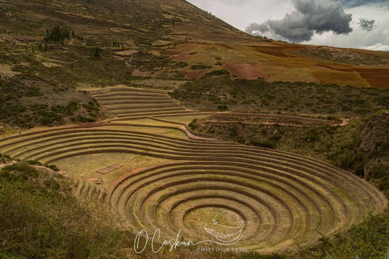 1q0a2848-avec-accentuation-bruit-scaled